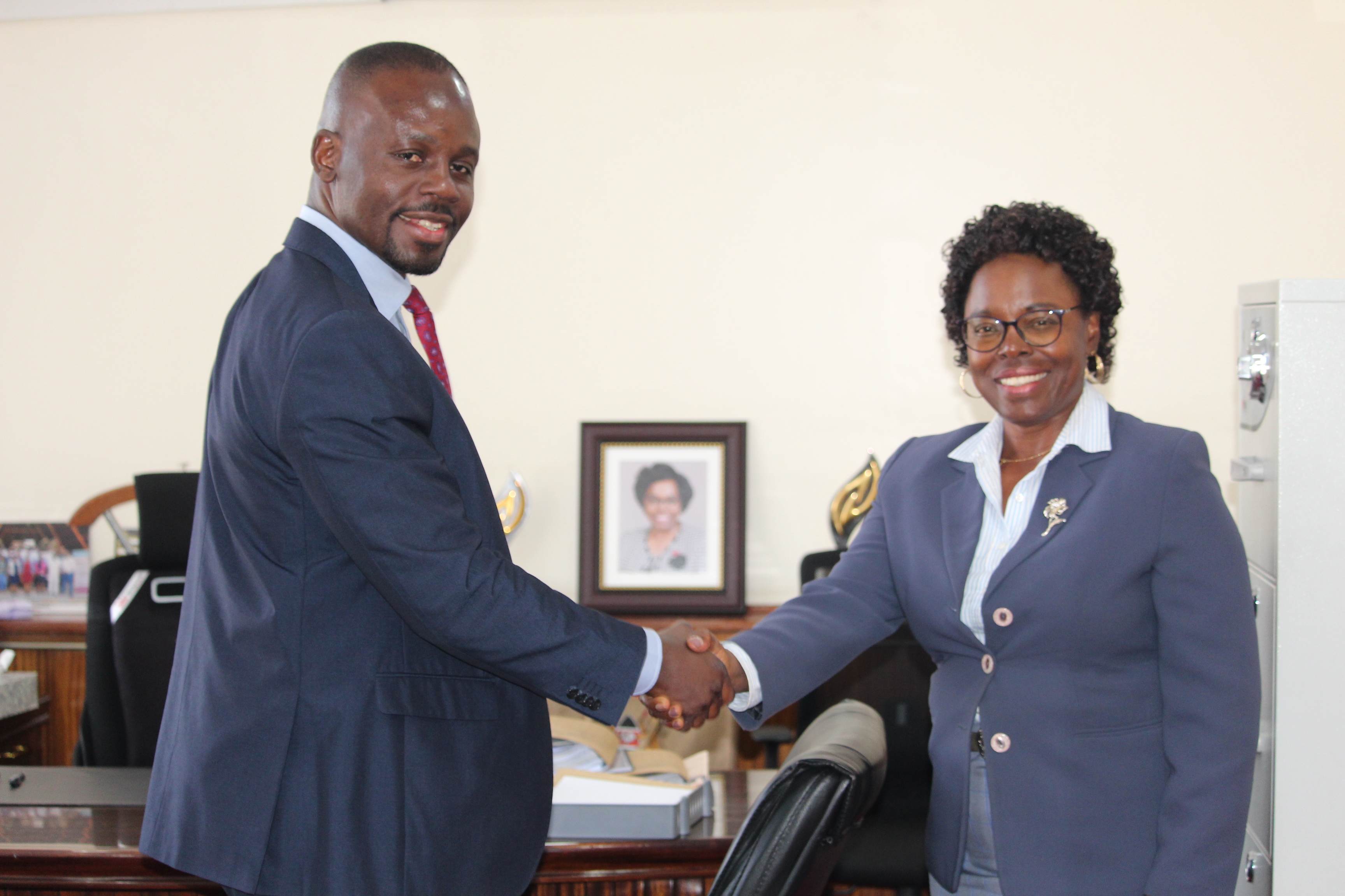 Budget Implementation and Oversight in Kenyan Counties